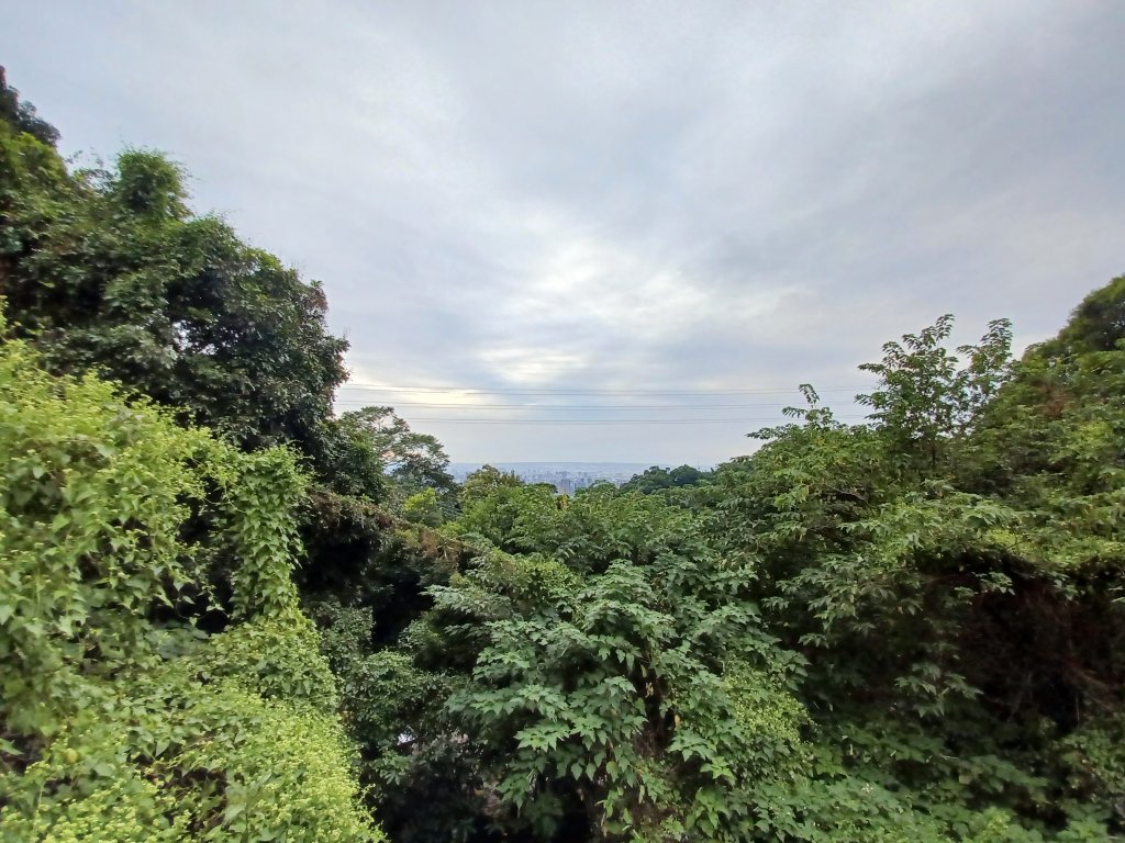 【台中北屯】台中大坑九號步道_2933025