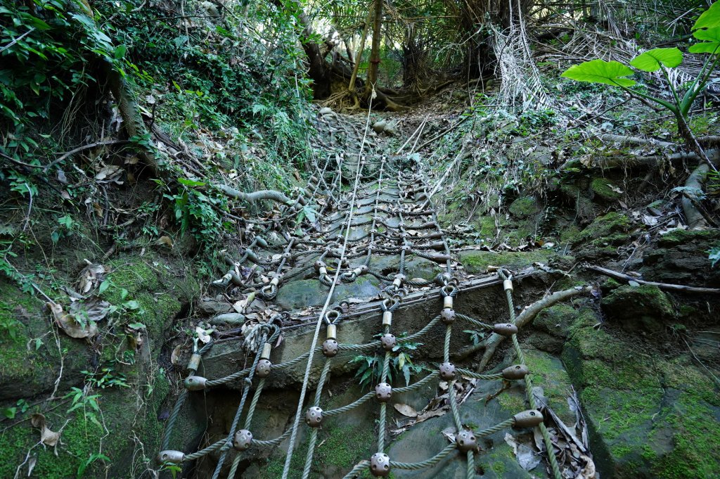 臺中 霧峰 奧山、砲台山_2715361