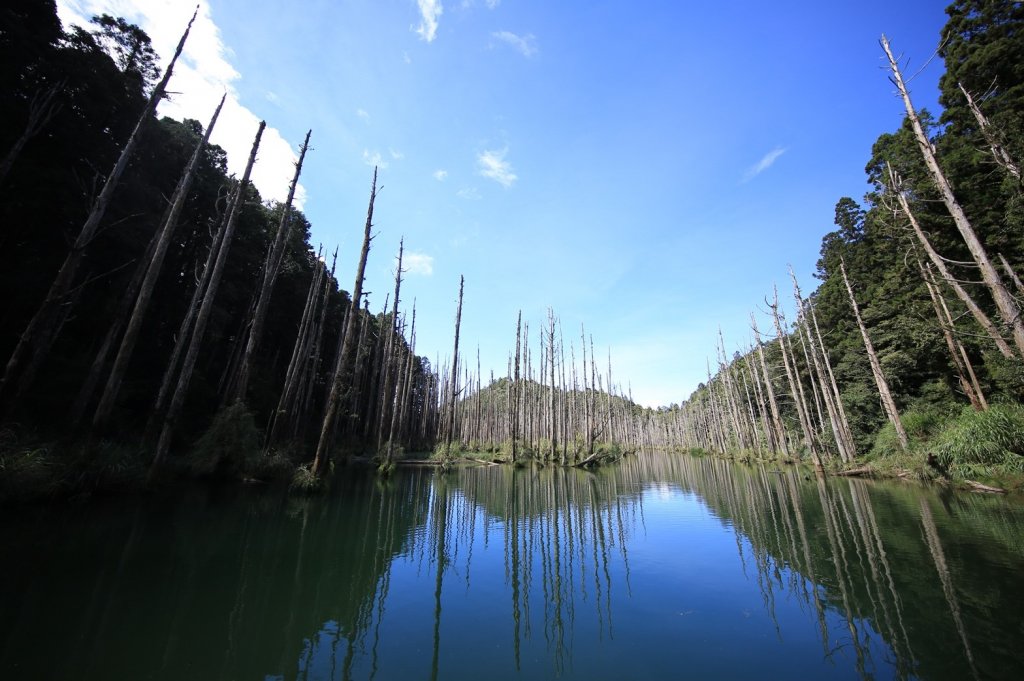 水樣森林 第一次在山裡過夜_658966