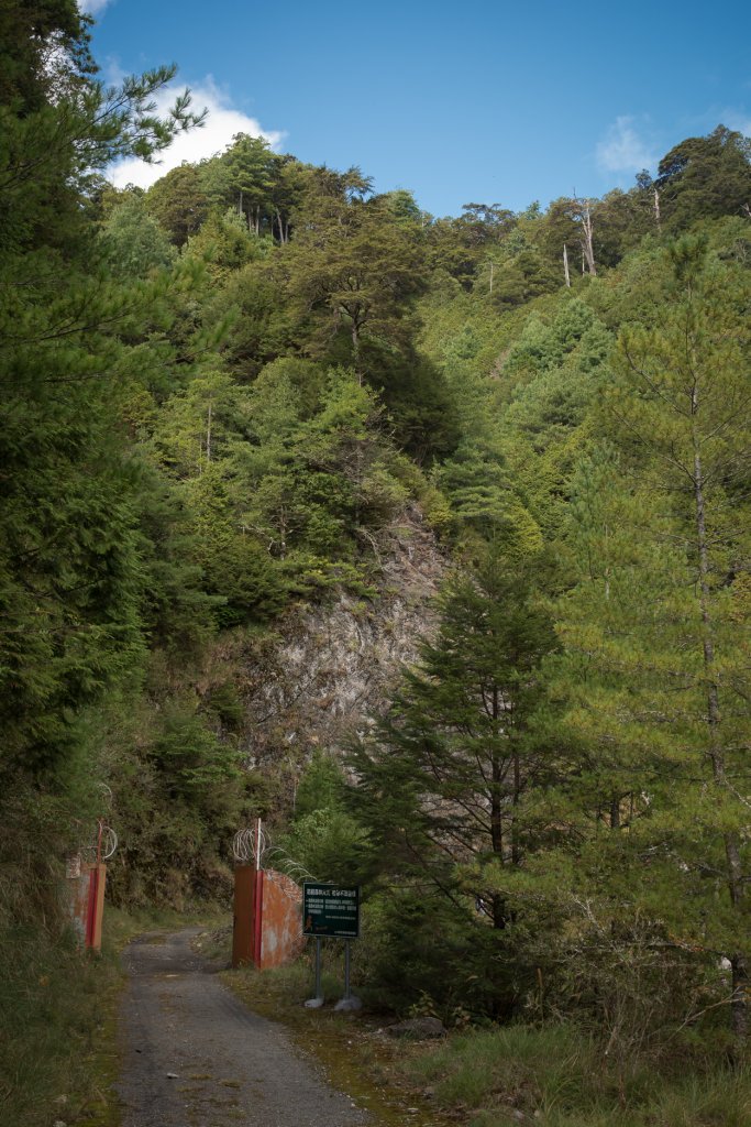 大雪山200林道 - 北三錐山_1493263