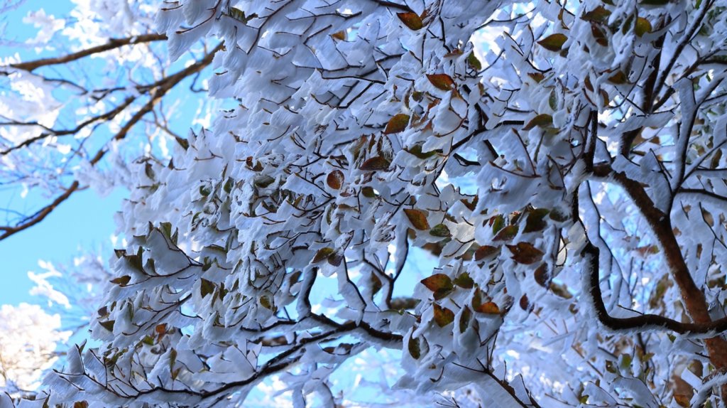 北得拉曼霧淞_1963116