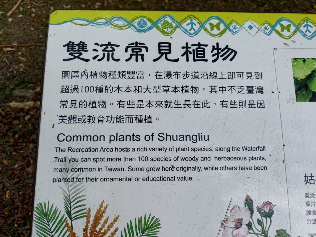 雙流森林遊樂區婆豬古山連走雙流瀑布帽子山_2652792