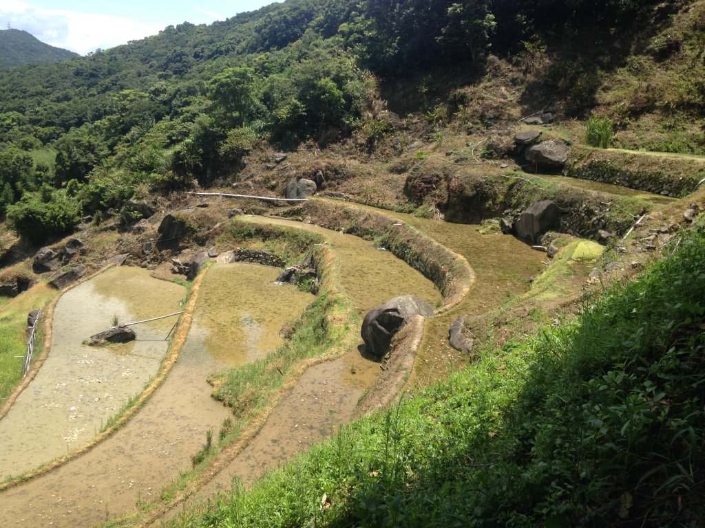 坪頂古圳親山步道封面圖