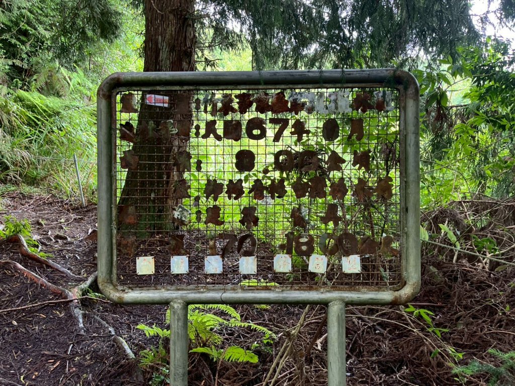 新竹 五峰 雪霸休閒農場 野馬瞰山步道_2811512