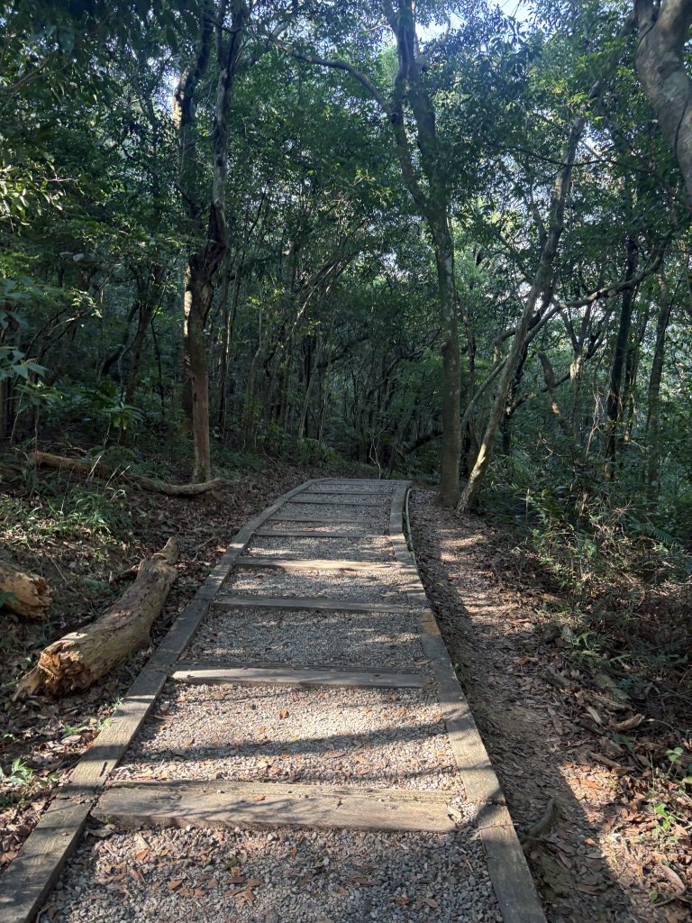 20251004_碧山露營場＿長壽坡＿大崙尾山步道封面圖