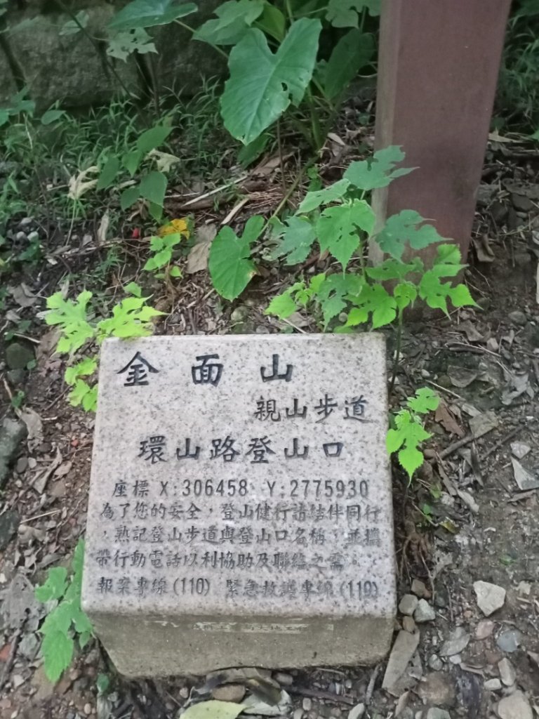 【台北-臺灣百大必訪步道】金面山親山步道_1104347