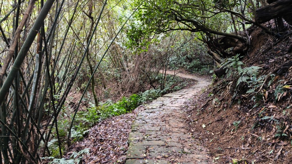 燕溪古道-大崙尾山西峰-仙座台山-圓明寺步道_2926558