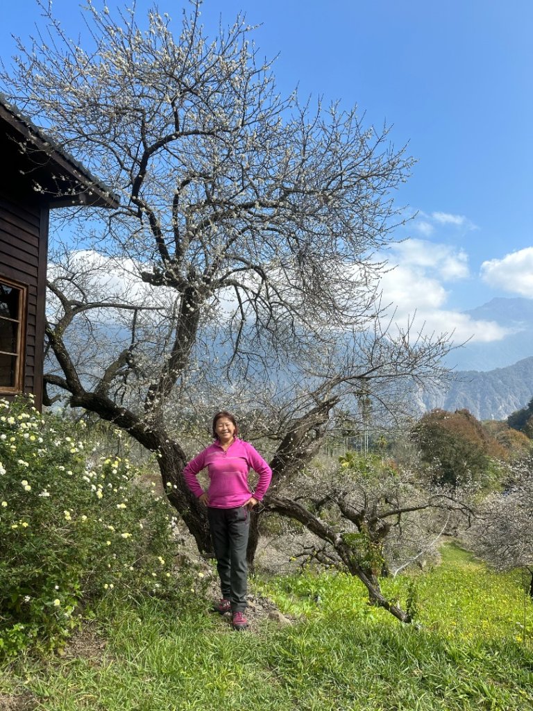 南投縣信義鄉二坪山步道_2690543