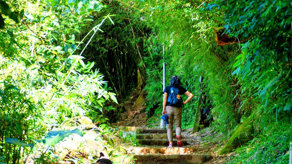 向天蝦不蝦_2936799