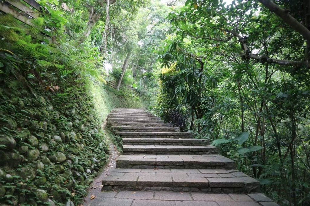 小百岳NO.13南港山，南港山北峰，九五峯_2285578