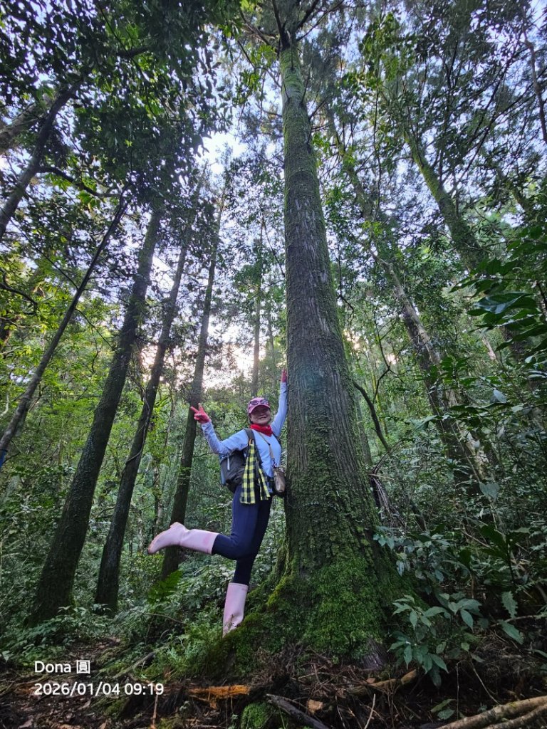 20260104源茂山.源茂山西峰.和尚髻山O走+親水觀魚步道_2977694