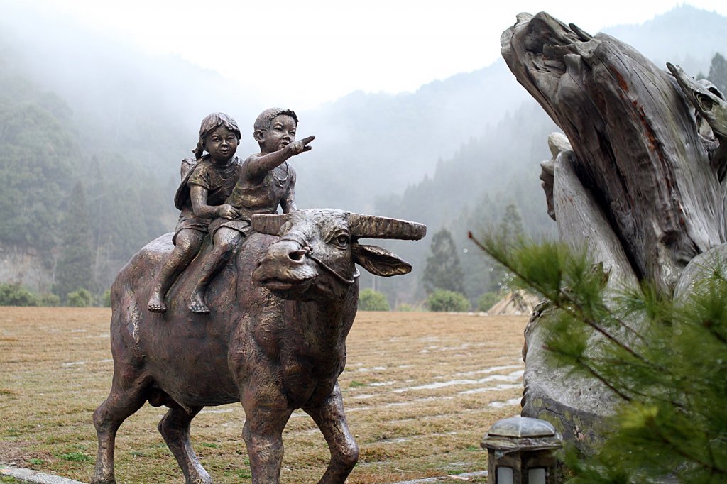 杉林溪賞花_872590