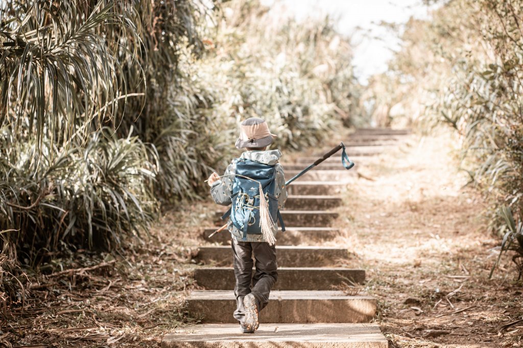 菅芒浪白｜五分山_2356462