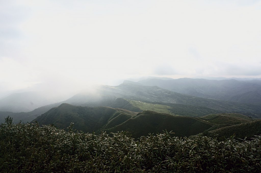 灣坑頭山 桃源谷步道 連走_2034838