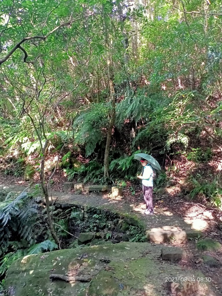 【臺北大縱走5】2-1碧山巖→忠勇山越嶺步道→金龍產業道路→圓明寺步道→鄭成功廟步道→文間山→劍南路_2259498