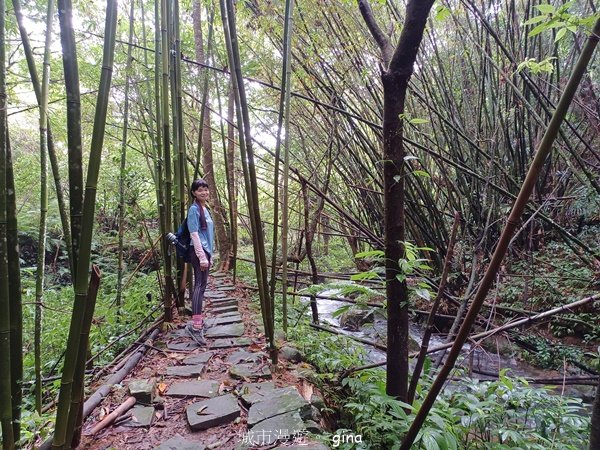 【新竹橫山】綠蔭夾道流水淙淙。2024森遊竹縣。 騎龍古道_2616216
