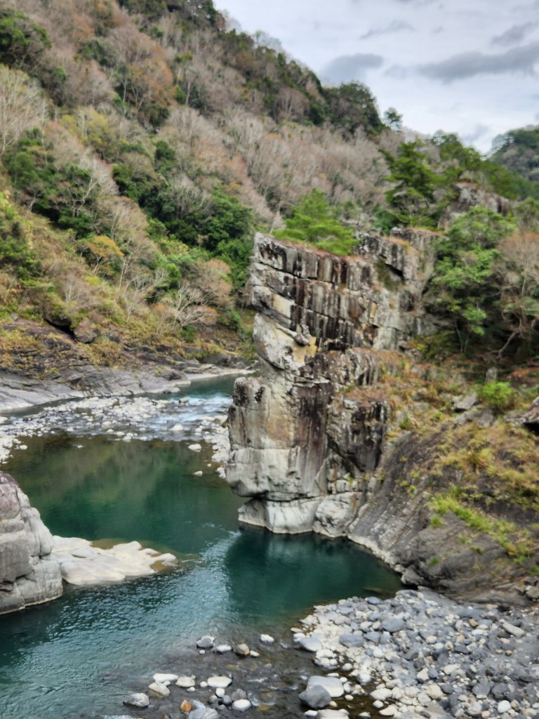 112/2/11芝生毛台山、屯野生炮台_2148000