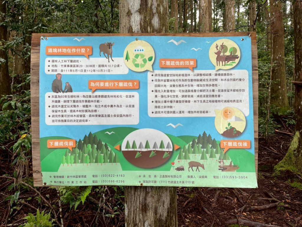 新竹 五峰 雪霸休閒農場 野馬瞰山步道_2811508