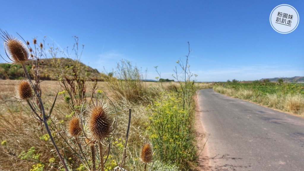 【勇氣2.0朝聖之旅】D10舒適的庇護所_657054