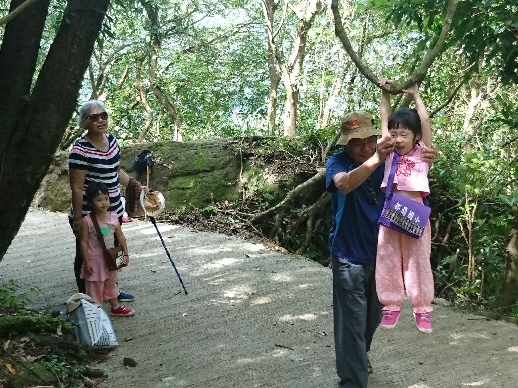 來一杯純淨熊空茶_1453357