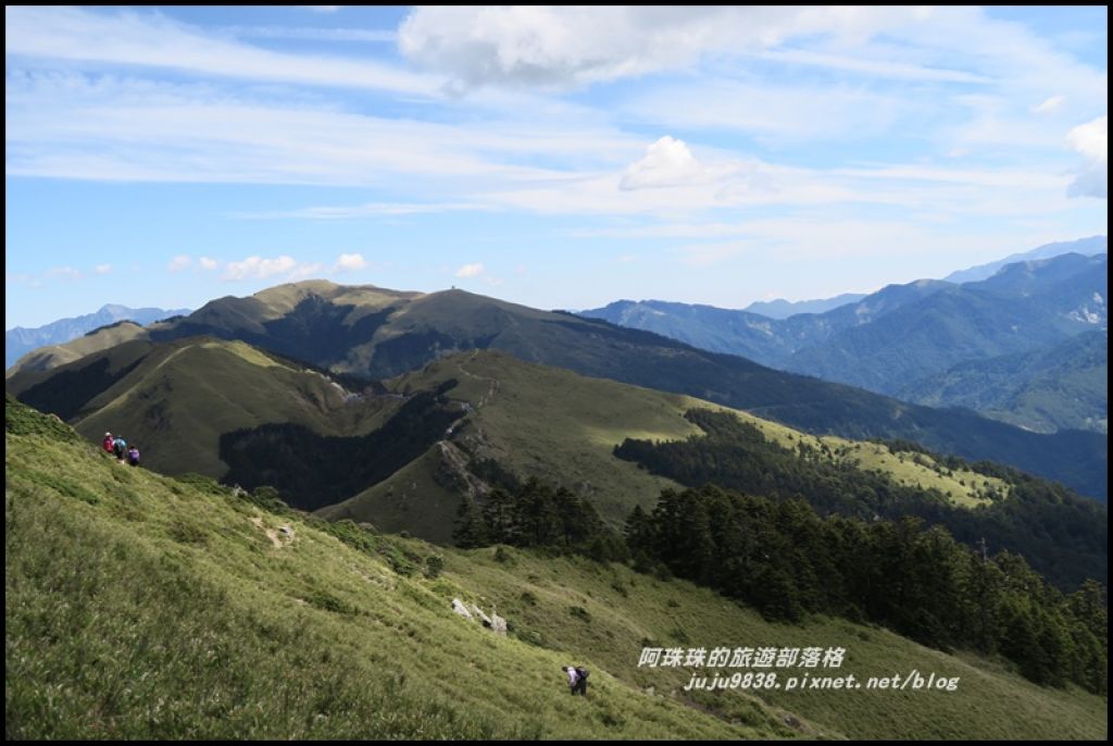 合歡東峰賞玉山杜鵑_341014