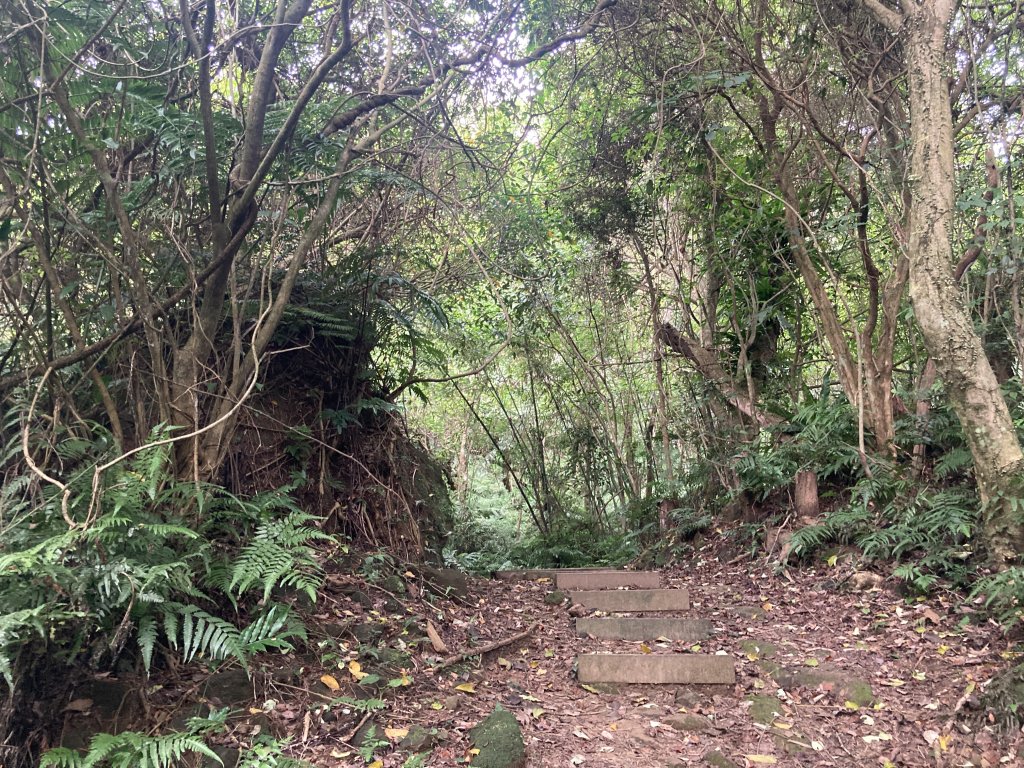 土庫岳_2527737