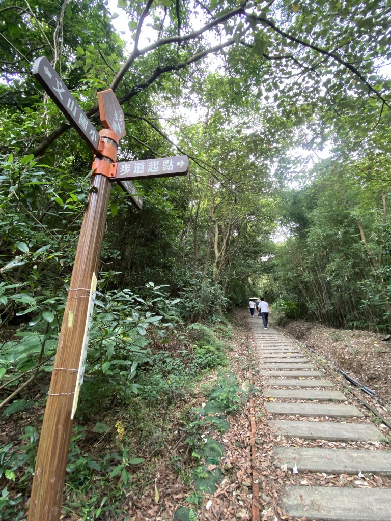 20250706-EP.06犁頭山、文山步道-2025森遊竹縣皮皮獅探險隊封面圖