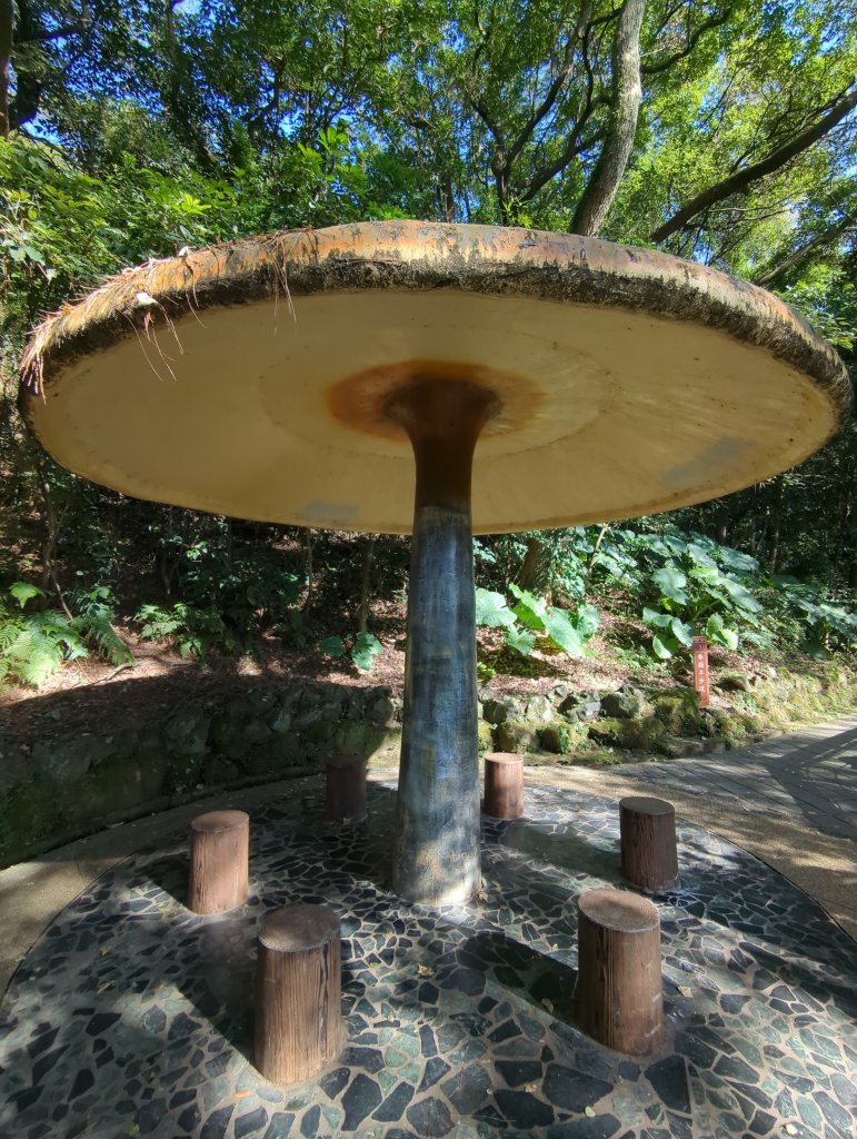 2022.12.24－桃園虎頭山_1966151