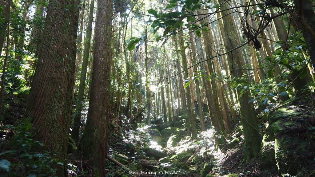 《苗栗》遺世鐵道｜悠遊加里山大坪支線至避難山屋20250822_2867522
