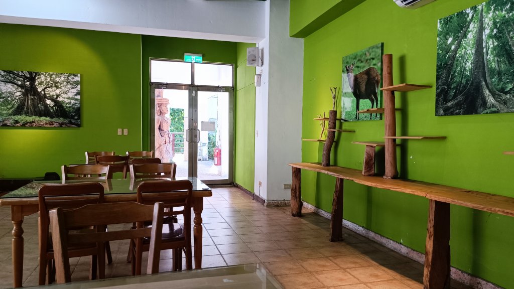 知本國家森林遊樂區步道_1775672