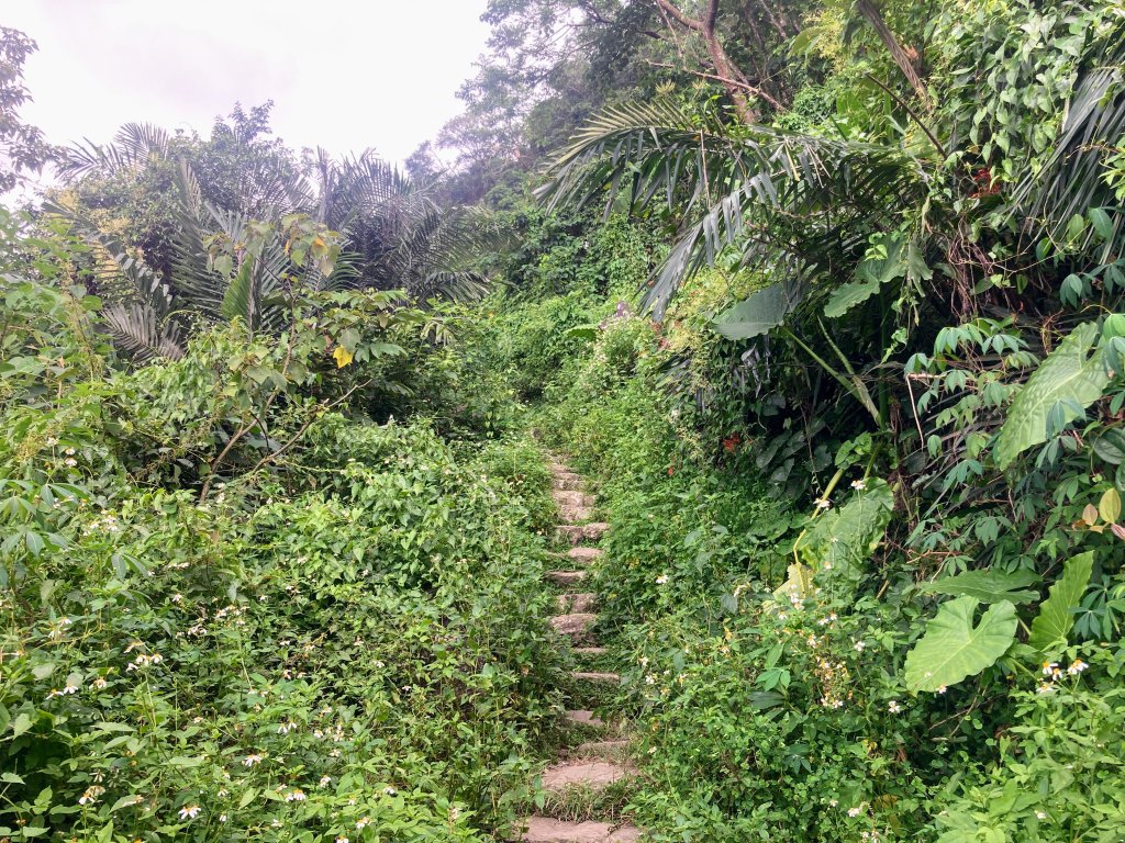 獨立山國家步道_2615901