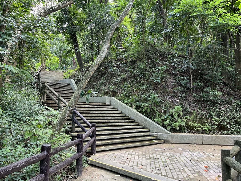 [百山百鳥尋旅-03/15] 2025_0817 虎形山公園步道_2863137