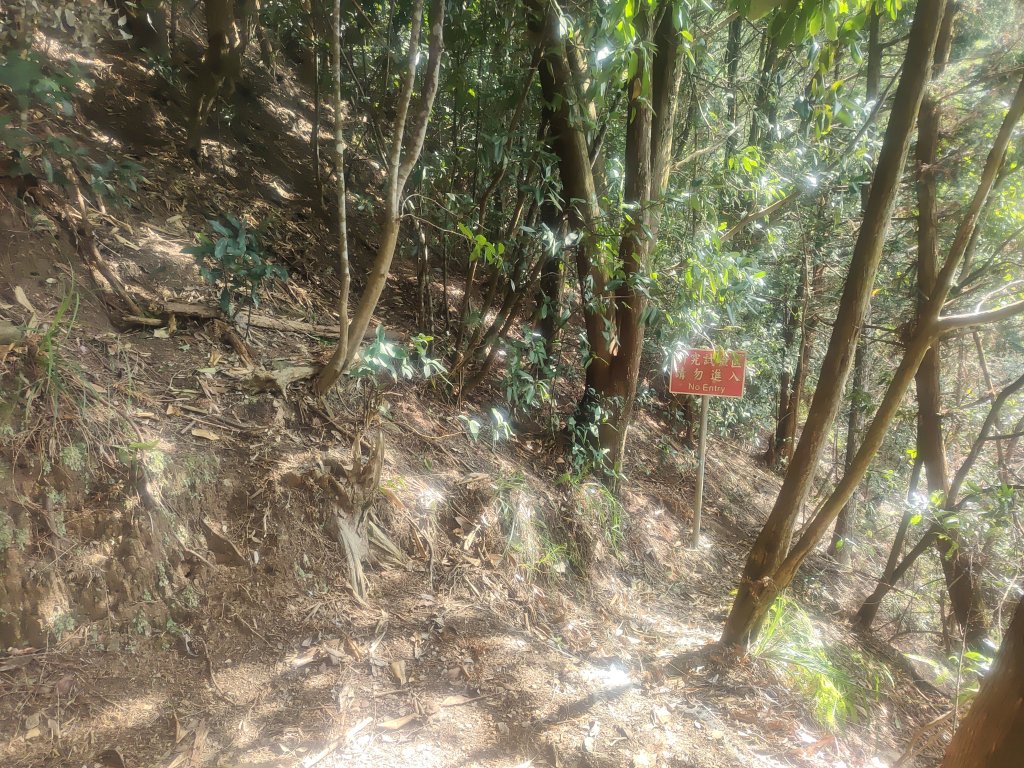 惠蓀湯公啤&小嵐_2697824