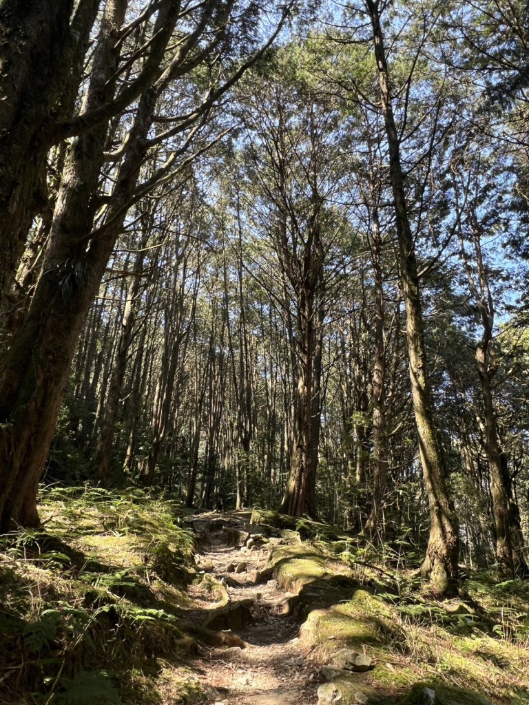 小百岳-稍來山_2752443