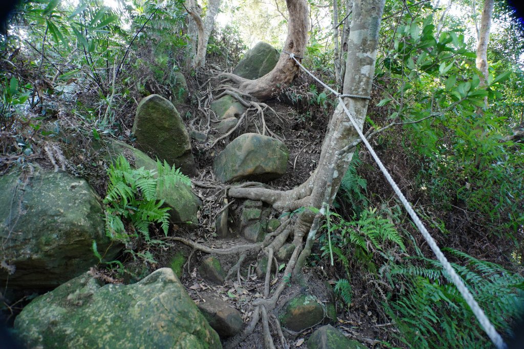 新竹 關西 蓬萊仙島山、石牛山、油井窩山、福大山_2982384