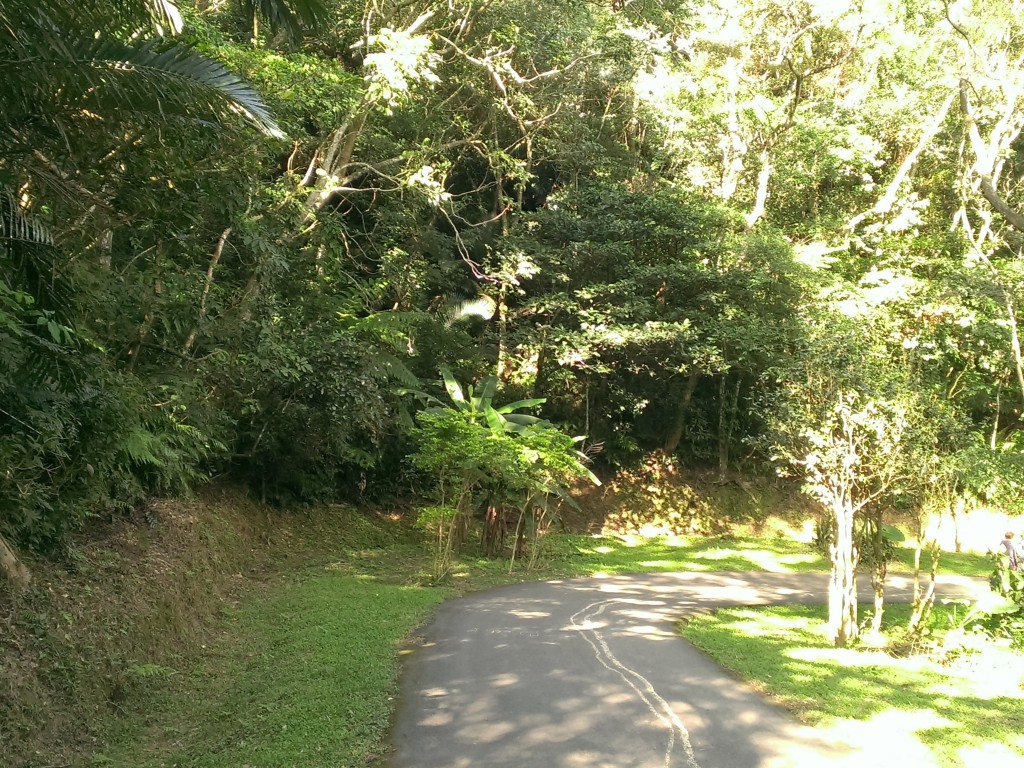 百吉林蔭步道之順道看看石門水庫封面圖