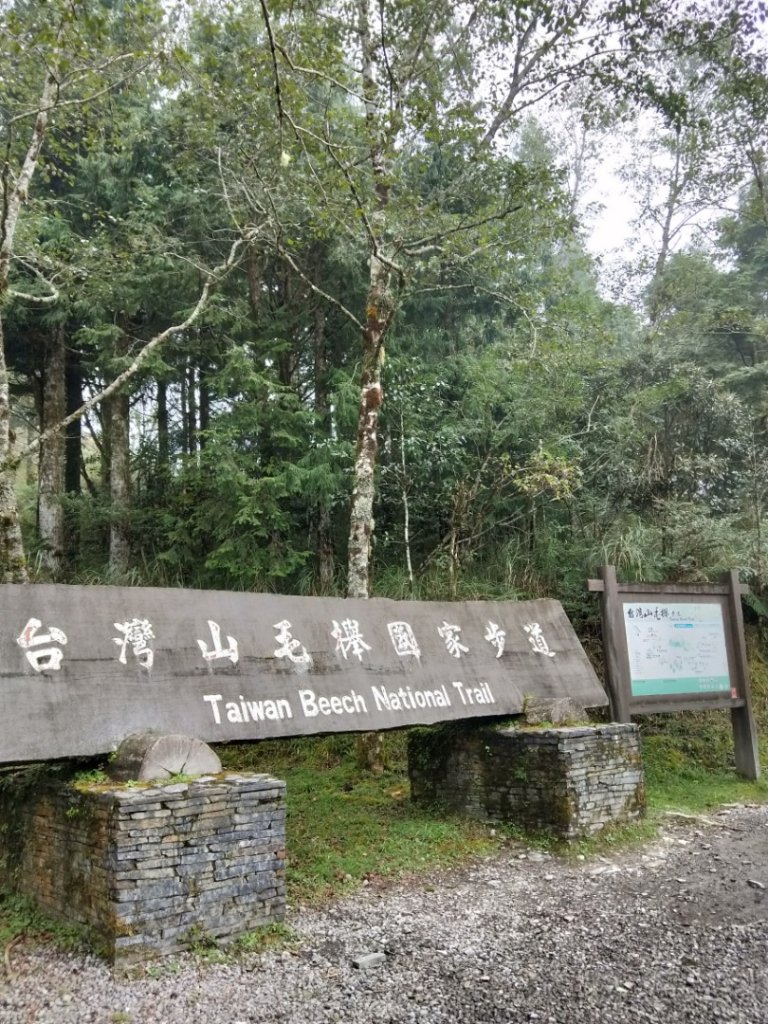 山毛櫸國家步道封面圖