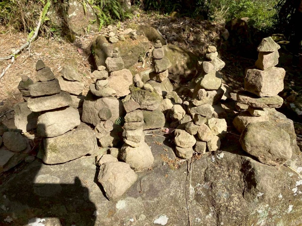 🌈1/4(日)來趣梅嶺~竹子尖山-獵鷹尖-一線天~梅子雞風味餐✨FB：熊熊趴爬走🌈_2976805