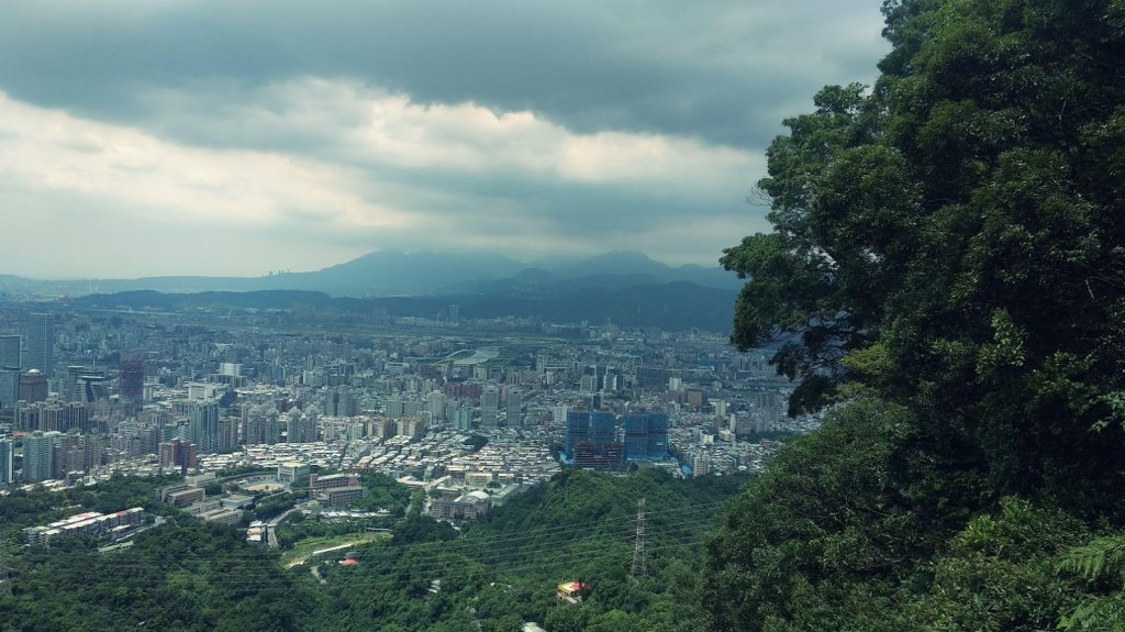 2020 7/7 南港山_1026668
