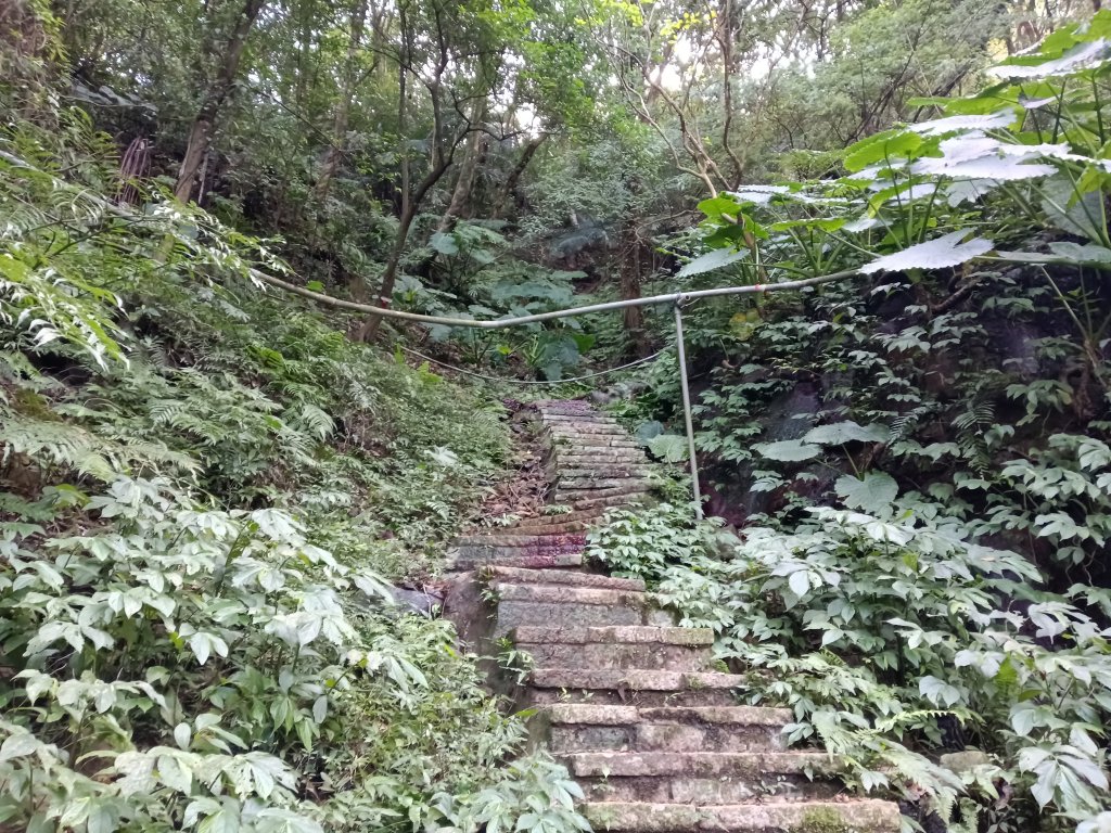 汐止區茄苳越嶺古道+上鹿窟崙山+九層坪山+四分尾山+大尖山8字走_2981535