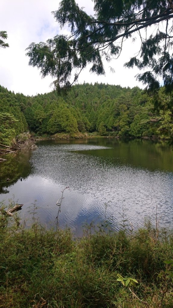 太平山_2541696