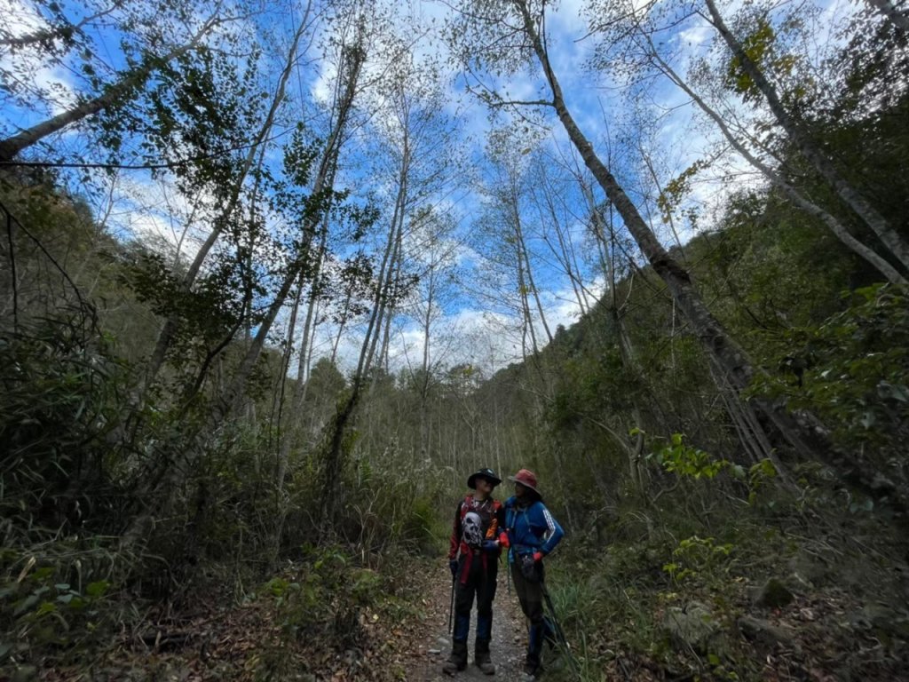 志佳陽大山_2611725