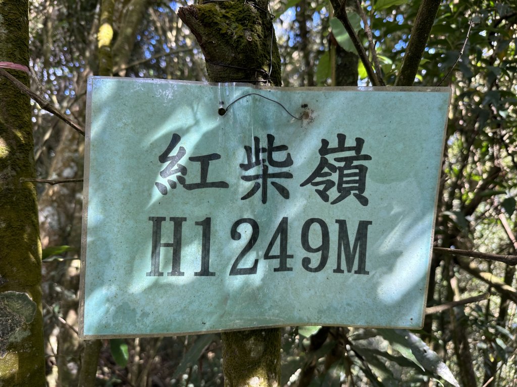 竹崎十三連峰 (阿里山四大天王越野賽路線)_1932734