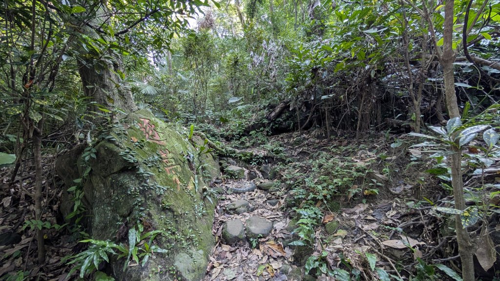 114.11.22鳶山彩碧-鳶山-鳶尾山之旅_2943579