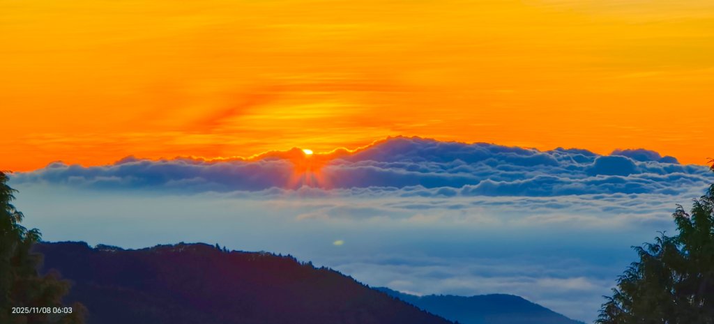 #太平山 #望洋山 #觀雲步道 #日出 #雲海 11/8_2931203