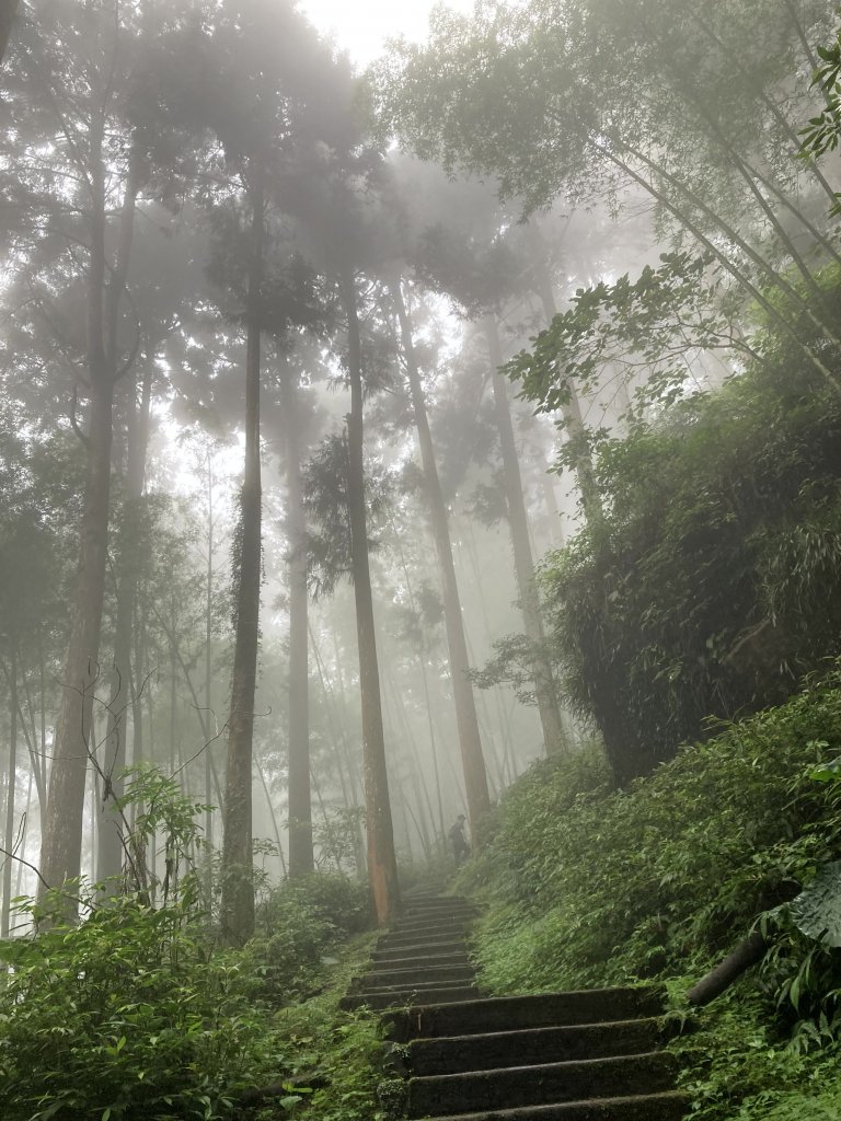 2023-09-30 頂石棹 雲之道_2300719