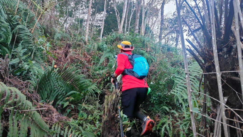 惠蓀大O聖逆走二部曲  2024年12月29日封面圖