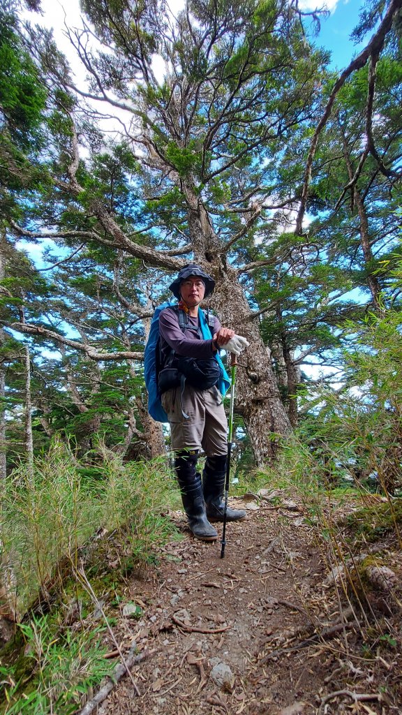 111/07/23畢羊縱走DAY 1(大禹嶺-820林道-畢祿山-鋸東山屋)_1777512