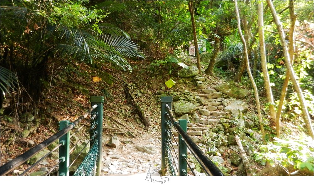 【登山健行│花蓮秀林】健行旅記，錐麓古道_965430