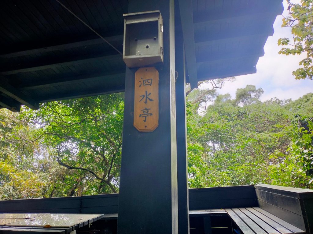 樹鶯縱走（樹林~鶯歌）_2237559